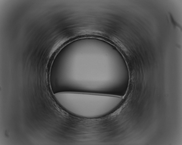 X0000097650877200802290844