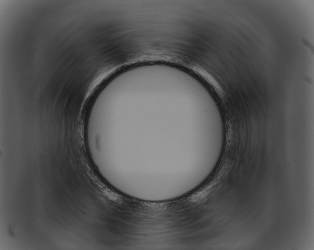X0000097650878200802290844