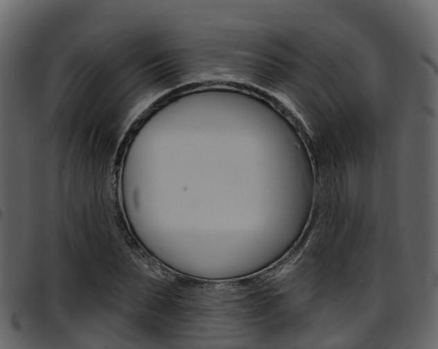X0000097650879200802290844
