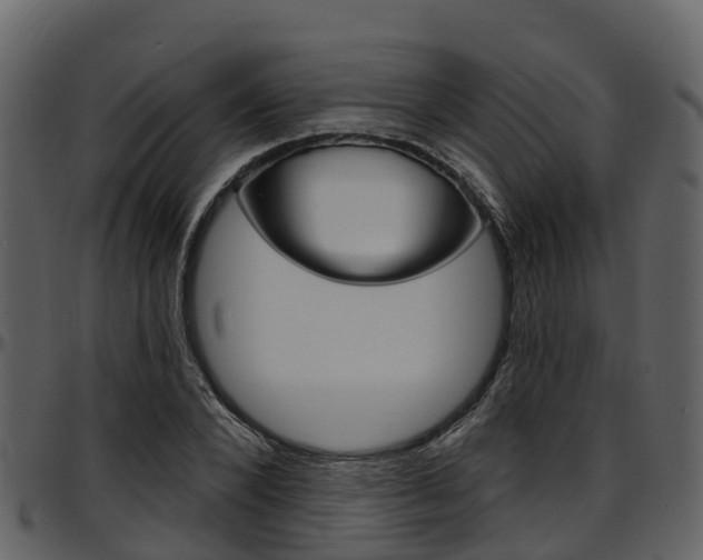 X0000097650880200802290844