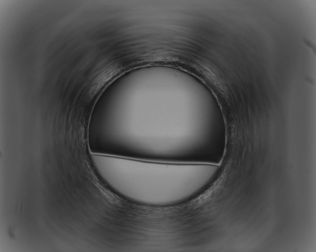 X0000097650881200802290844