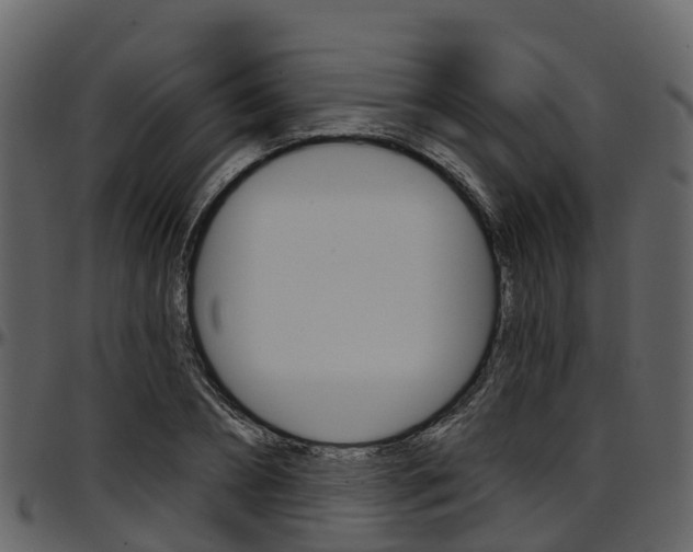 X0000097650882200802290844