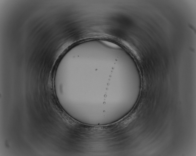 X0000097650883200802290844