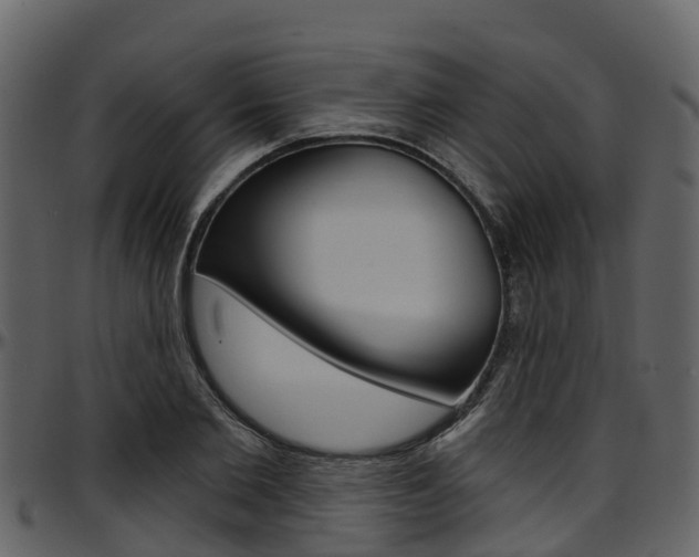 X0000097650885200802290844