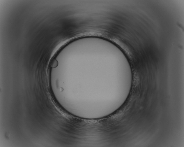 X0000097650886200802290844