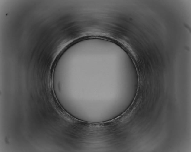 X0000097650887200802290844