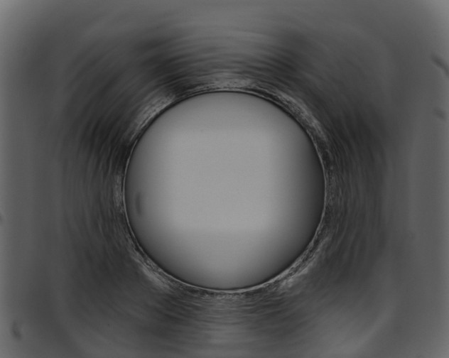X0000097650889200802290844