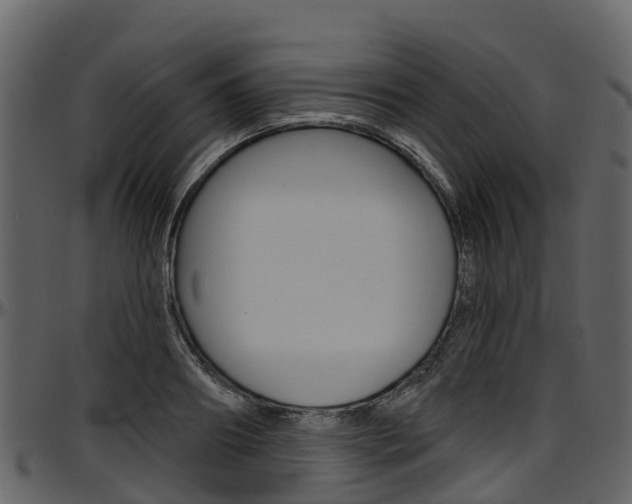 X0000097650890200802290844