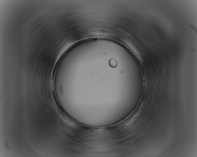 X0000097650891200802290844