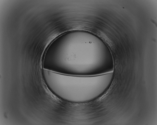 X0000097650892200802290844