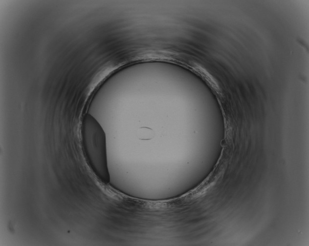X0000097650893200802290844