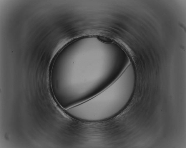 X0000097650894200802290844