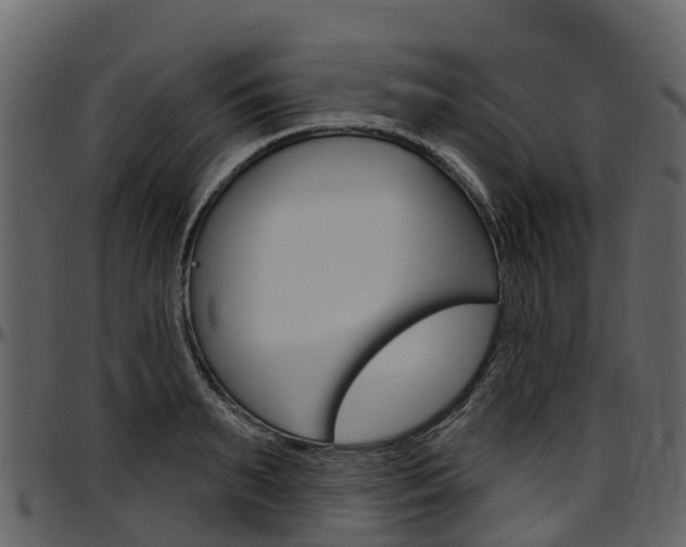 X0000097650895200802290844