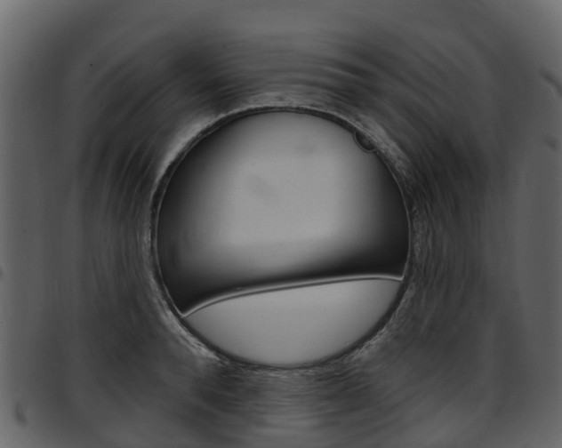 X0000097650896200802290844