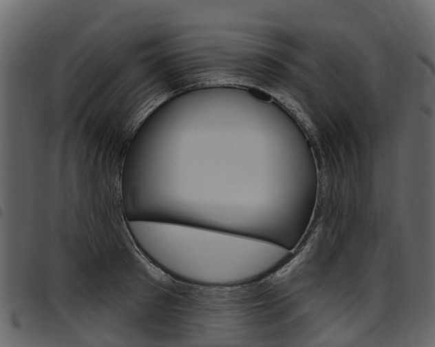 X0000097650897200802290844