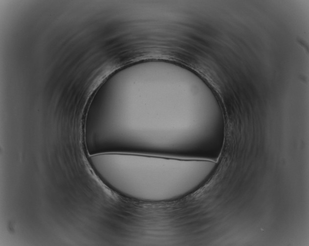 X0000097650898200802290843
