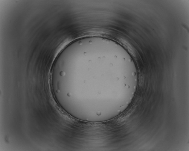 X0000097650899200802290843