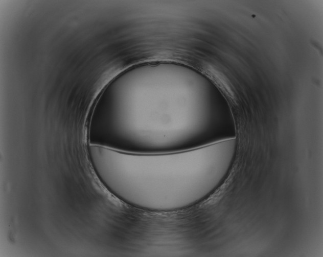 X0000097650900200802290843