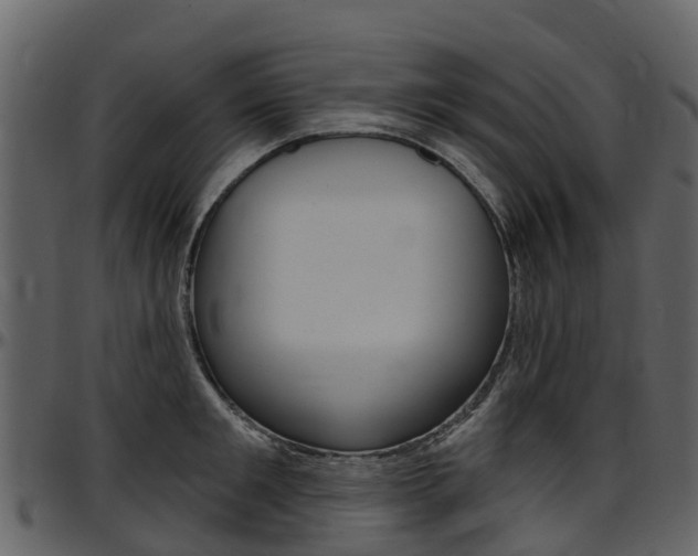 X0000097650901200802290843