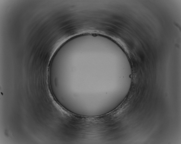 X0000097650903200802290843