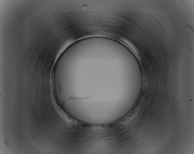 X0000097650907200802290843
