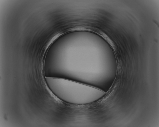 X0000097650909200802290843