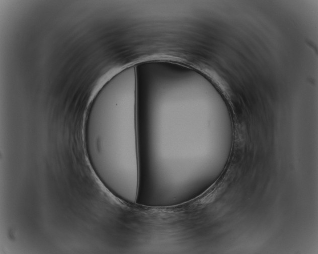 X0000097650910200802290843