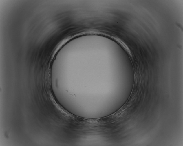 X0000097650911200802290843