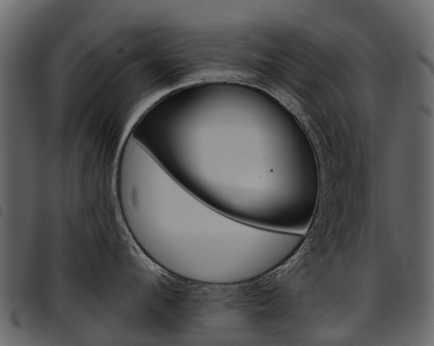 X0000097650912200802290843