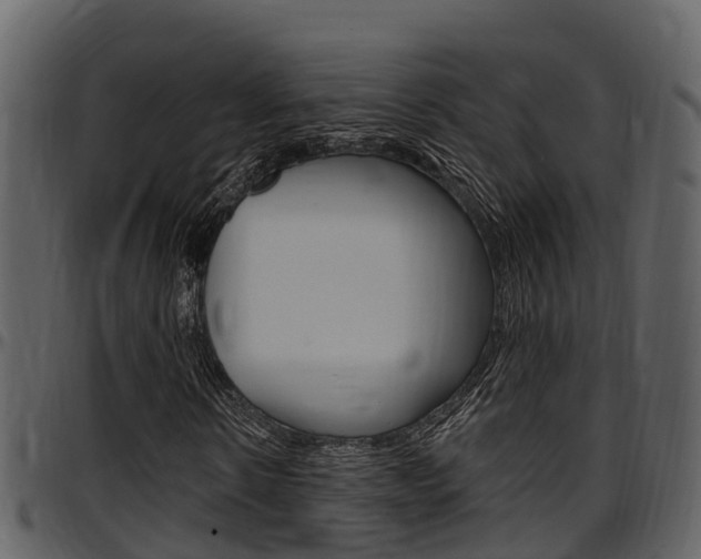 X0000097650914200802290842