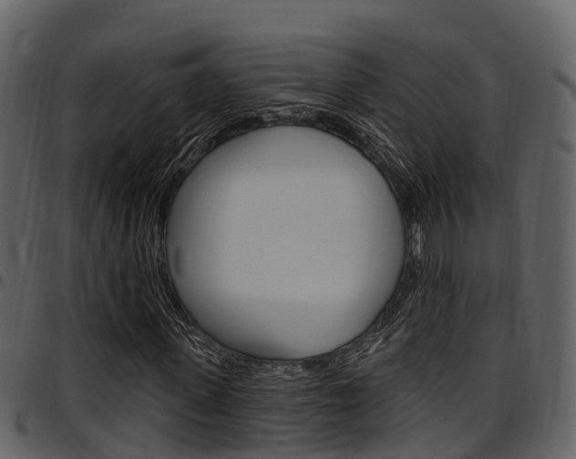 X0000097650915200802290842