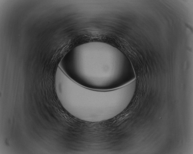 X0000097650916200802290842
