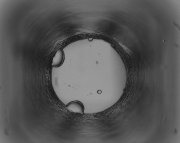 X0000097650918200802290842