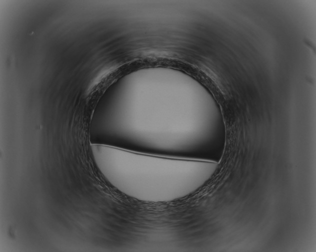 X0000097650919200802290842