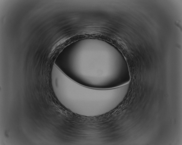 X0000097650920200802290842