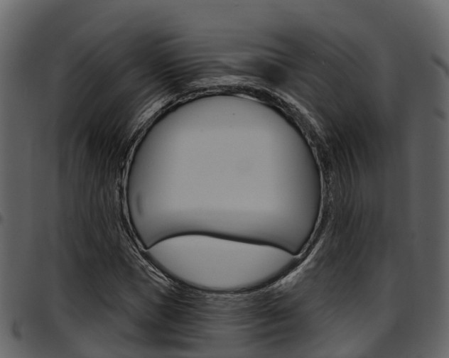 X0000097650921200802290842