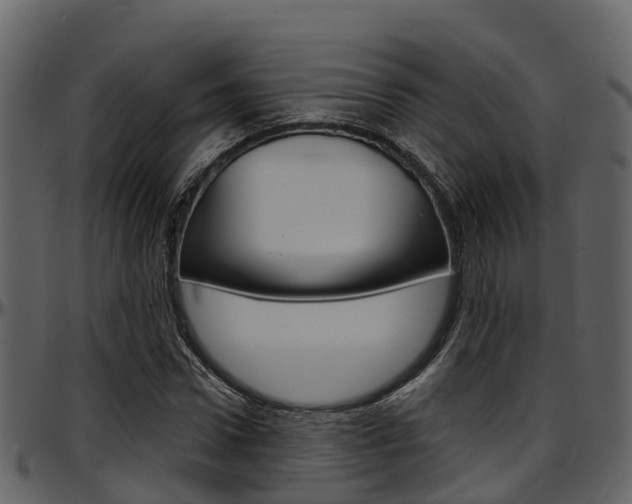 X0000097650922200802290843