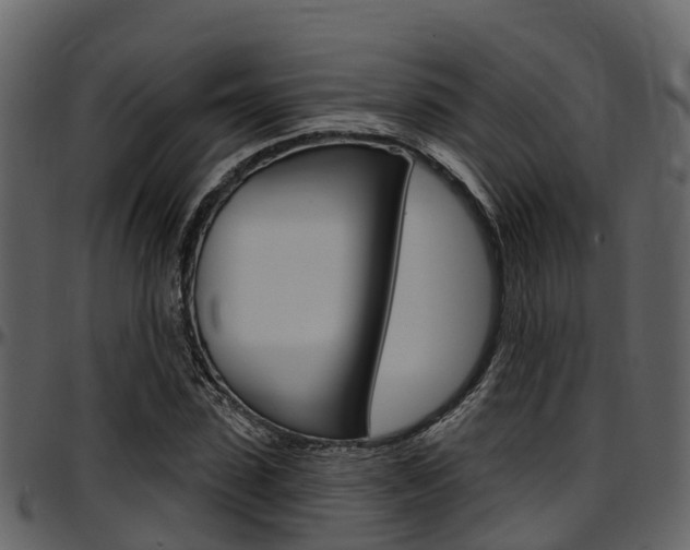 X0000097650923200802290843