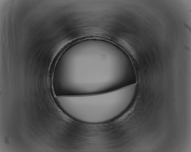 X0000097650924200802290843