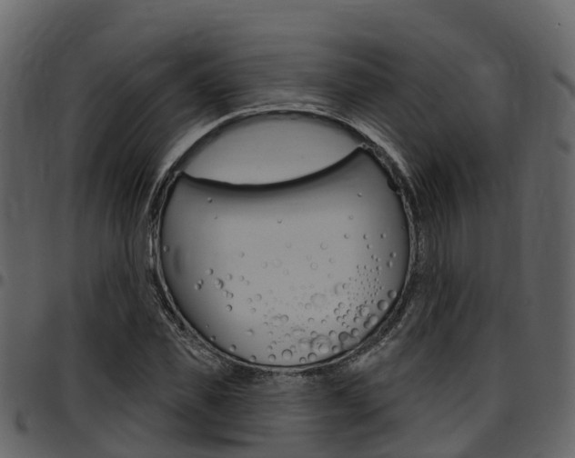 X0000097650925200802290843