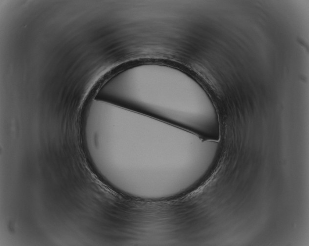 X0000097650926200802290843
