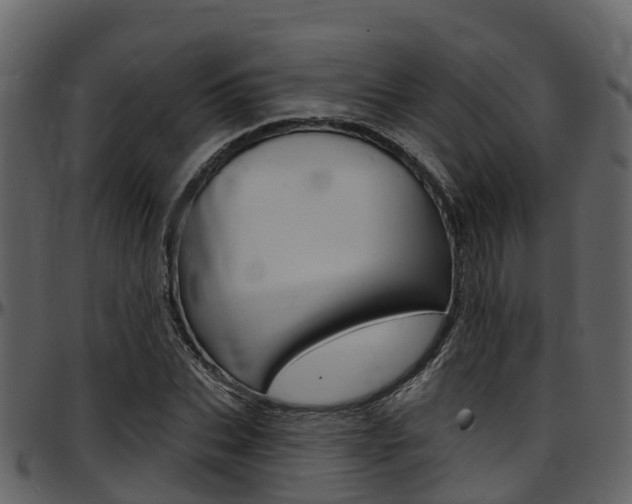 X0000097650927200802290843