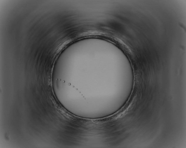 X0000097650929200802290843