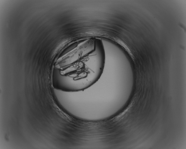 X0000097650930200802290843
