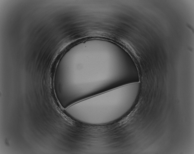 X0000097650931200802290843