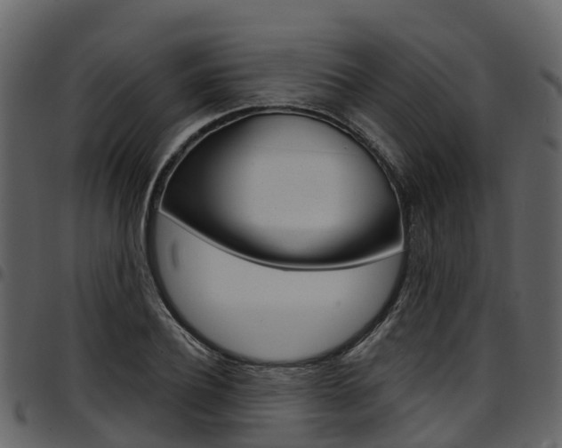X0000097650932200802290843