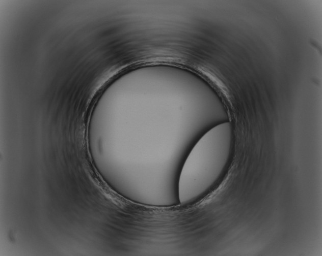 X0000097650933200802290843