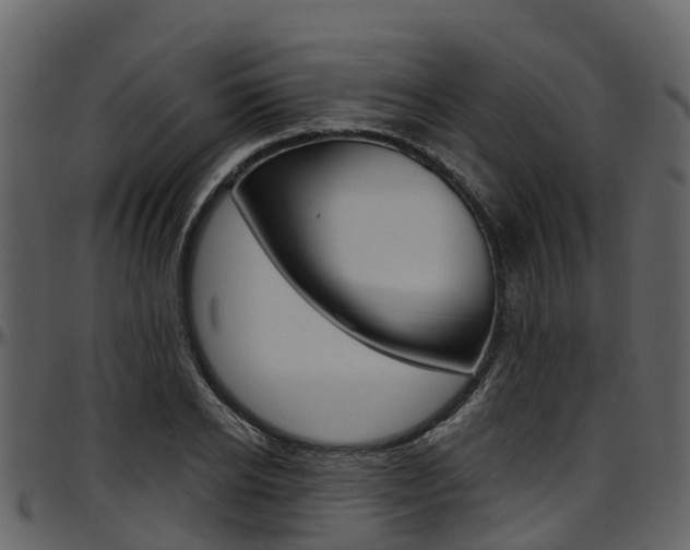 X0000097650934200802290843
