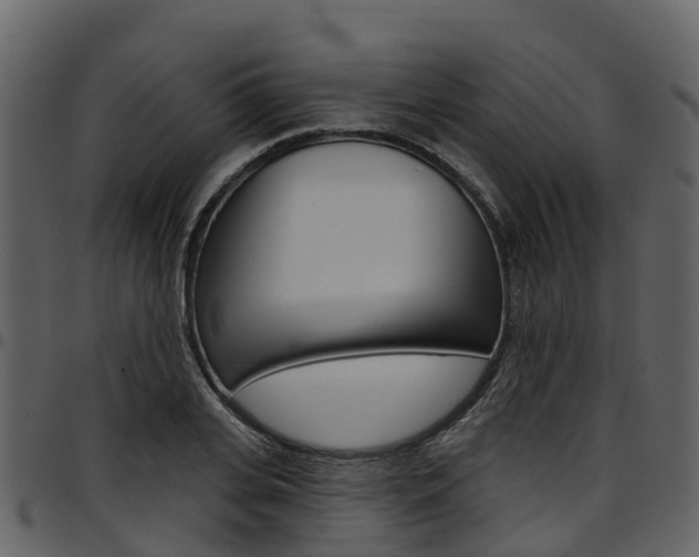 X0000097650935200802290843