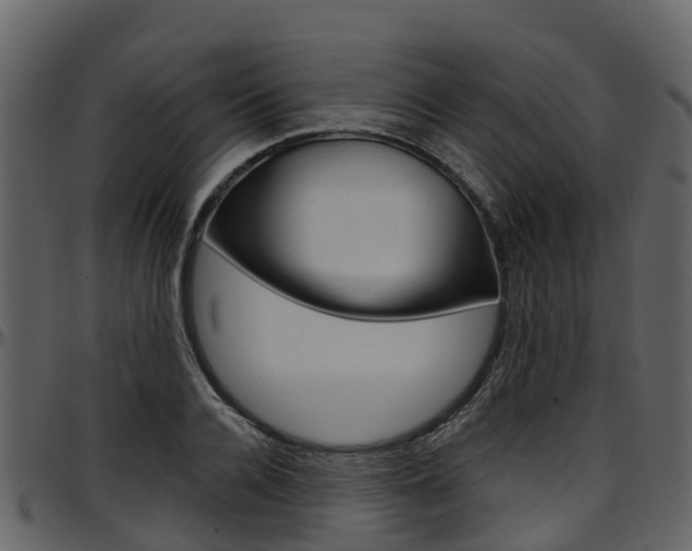 X0000097650936200802290843